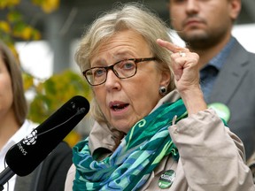 Green Party Leader Elizabeth May speaks in Calgary on Sept. 20, 2019.