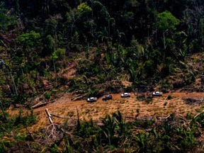 Handout picture released by the Communication Department of the State of Mato Grosso showing deforestation in the Amazon basin in the municipality of Colniza, Mato Grosso state, Brazil, on August 29, 2019.