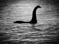 In a blow to Nessie hunters, they found no evidence of reptilian DNA, ruling out past theories of a Jurassic-era plesiosaur.
