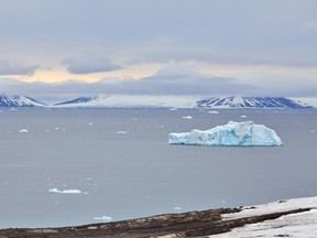 A 2010 picture of the Russian coast of Franz Josef land.