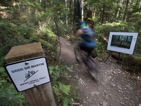 A mountain biker speeds past a photograph on Good Sir Martin bike trail on Mount Seymour in North Vancouver, B.C., Monday, July, 25, 2016. Mountain bikers are being advised to steer clear of several popular trails on Vancouver's North Shore after an inquisitive black bear gave three cyclists a scare.