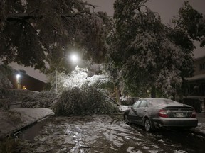 An early winter storm with heavy wet snow caused fallen trees, many on cars, and power lines in Winnipeg early Friday morning, October 11, 2019. Some areas of Manitoba are now watching rivers and lakes closely as the province warns rain could bring high water, or even flooding, 11 days after the province was hit by a devastating snowstorm.