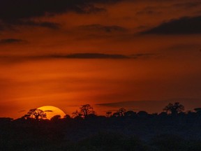 The sun sets on Tanzania's Tarangire National Park on Saturday July 6, 2019. Climate change is expected to play havoc with already fragile African countries, prompting more calls for help from the Canadian military, warns an internal Defence Department analysis.