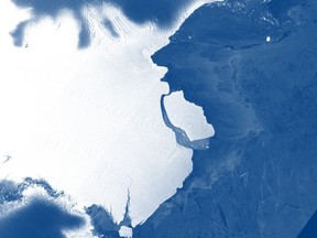 A giant iceberg has calved off the front of the Amery Ice Shelf.