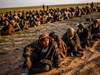 Men suspected of being Islamic State (IS) fightrs wait to be searched by members of the Kurdish-led Syrian Democratic Forces, Feb. 22, 2019.