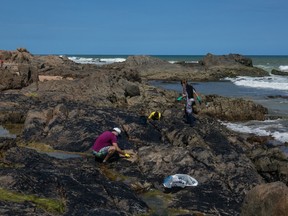 Volunteers clean oil from rocks at the Pedra do Sal beach, in Salvador, Bahia state, Brazil, on October 19, 2019. - A huge oil spill off Brazil's northeastern coast which stained more than 130 beaches may have involved a "ghost ship" carrying Venezuelan oil in breach of US sanctions, an expert close to the probe into the disaster said.