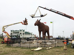 A crew works on hoisting up a new rack of antlers for Moose Jaw, Saskatchewan's "Mac the Moose" on Tuesday, October 8, 2019, officially making him the tallest moose statue in the world after a friendly feud with Norway.