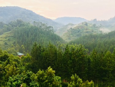 Uganda's countryside has beautiful mountains and valleys.