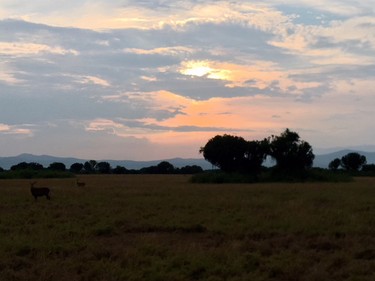 The sun sets on the savannah in Queen Elizabeth Park.