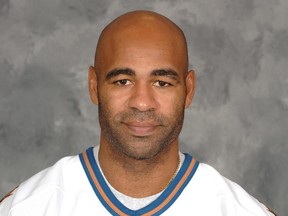 Washington Capitals enforcer Donald Brashear.