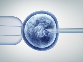 Genetic editing and gene research in vitro CRISPR genome engineering medical biotechnology health care concept with a fertilized human egg embryo and a group of dividing cells as a 3D illustration.