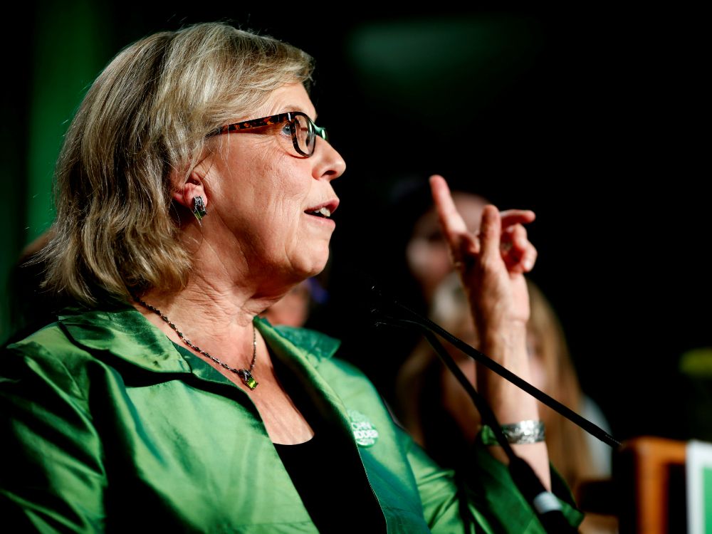 Elizabeth May Steps Down As Leader Of Federal Green Party Names Jo Ann Roberts As Interim 4809