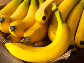 For the second time in recent history, the very existence of the sole breed of banana we rely on is under threat.