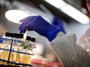 A microbiologist works with tubes of bacteria samples in an antimicrobial resistance and characterization lab within the Infectious Disease Laboratory at the Centers for Disease Control and Prevention in Atlanta on November 25, 2013. Antimicrobial resistance is likely to kill nearly 400,000 Canadians and cost the economy about $400 billion in gross domestic product over the next 30 years, warns a landmark new report. An expert panel cautions in "When Antibiotics Fail: The growing cost of antimicrobial resistance in Canada" that the percentage of bacterial infections that are resistant to the drugs used to treat them is likely to grow from 26 per cent in 2018 to 40 per cent by 2050.