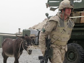 Cpl. Scott King, 27, of Lamaline, N.L., from 1 Combat Engineer Regiment, based in Edmonton, returns from grazing Hughes, a two-year-old donkey the soldiers purchased from their Afghan National Army counterparts, at a Canadian patrol base west of Kandahar city, Afghanistan, Tuesday, April 2, 2008. While Remembrance Day is intended to remember those members of Canada's armed forces who gave their lives in defending this country, it is also an important moment to reflect on the cost of war and the sacrifices of all those who have served in uniform. Yet not all those who served Canada - and in some cases laid down their lives - have been people. And while much attention in recent weeks has focused on Conan, the U.S. military dog who helped hunt down the leader of the Islamic State, Canada has its own legacy of animal heroes.