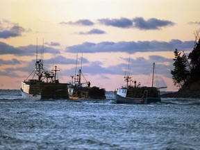 Fishing boats loaded with lobster traps head from Eastern Passage, N.S. on Tuesday, November 27, 2012. A group of senior scientists say Canada has made disappointingly little progress in preserving the variety of life in its oceans.