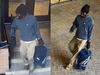 Surveillance images of the suspected feces attacker at a York University library.