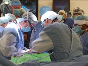 Doctors at Johns Hopkins School of Medicine say that the first-ever transplant of a penis, scrotum and lower abdominal wall was a success.