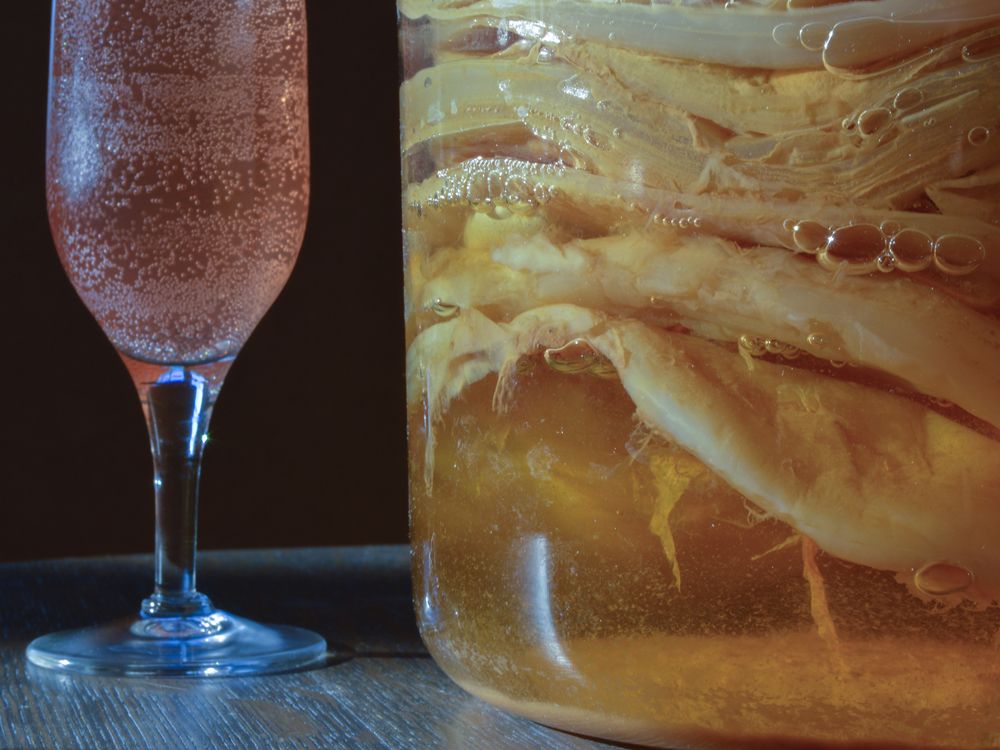 Can you get drunk off of kombucha — if you really want to? National Post
