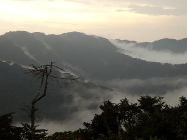 The misty mountains as seen from the canopy walk.