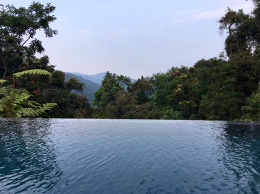 The idyllic pool overlooks the forest.