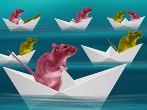 The Quarter Rat presents: MYSTERY GIF THEATER 2020 – The Quarter Rat