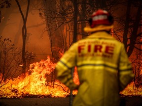 Fire and Rescue personal watches a bushfire as it burns near homes on the outskirts of the town of Bilpin on December 19, 2019 in Sydney, Australia.