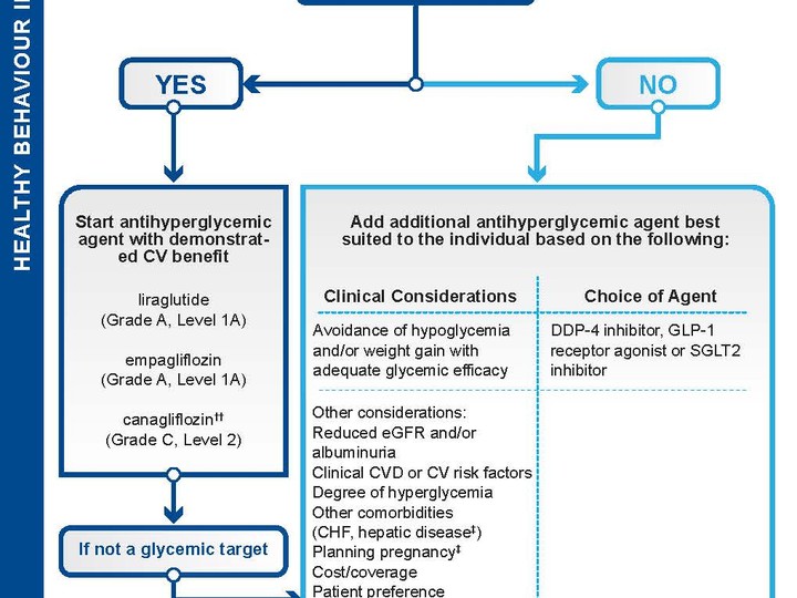  Diabetes Canada Guidelines for Management of Hyperglycemia in Type 2 Diabetes