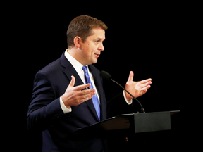 The Tories are gearing up for a leadership contest after leader Andrew Scheer announced earlier this month that he will step down when a new leader is chosen.