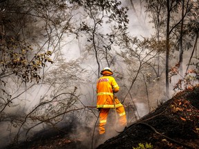 A New South Wales (NSW) Rural Fire Service volunteer douses a fire during back-burning operations in bushland near the town of Kulnura, New South Wales, Australia, on Thursday, Dec. 12, 2019.