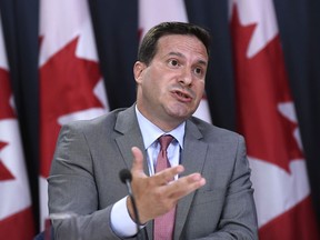 Liberal MP Marco Mendicino speaks at a press conference in Ottawa on July 22, 2019. The federal government has hit pause on a popular immigration program that allows people to sponsor their parents or grandparents to come to Canada. The Liberal government promised after that to review the system, but appear unable to have found a solution in time for the normal January application period. Instead, on Dec. 20, Immigration Minister Marco Mendicino issued instructions to the department to postpone the acceptance of new applications.