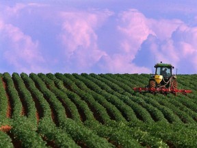 A farmer works a potato field in North Tryon, Prince Edward Island on Thursday, July 13, 2000. A national agriculture group says farming needs to be reformed, both to save the climate and save farmers.