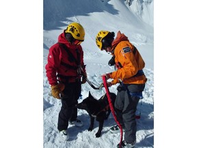 Avalanche search dog and handler are shown in this undated handout image. An avalanche that killed three world-class climbers last spring should drive change for improved safety in the sport, say experts.THE CANADIAN PRESS/HO-Parks Canada **MANDATORY CREDIT**