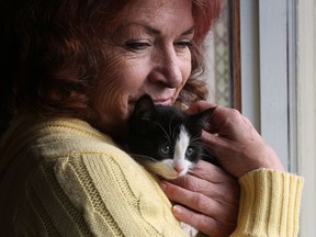 Carol Hull holds a feral kitten she rescued, at her home in Little Bay Islands, N.L, on Friday, November 15, 2019. Cat lovers across Atlantic Canada fighting for the future of wandering feral cats in a soon-to-be empty town as Newfoundland and Labrador's government proposes euthanizing the animals.