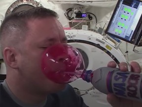 These Foods Look Completely Different in Space