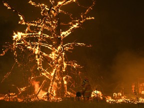 In this Saturday, Dec. 21, 2019, photo, NSW Rural Fire Service crew fight the Gospers Mountain Fire as it impacts a property at Bilpin, New South Wales state, Australia.