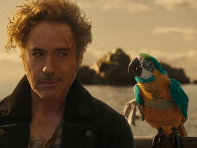 Robert Downey Jr. as Dolittle.