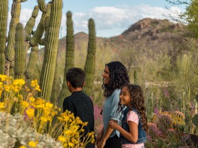 Tucson is an oasis, beckoning travellers to discover its unique attractions and amazing history.