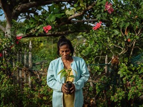 A woman poses with a wildling from a tree nursery in her Philippines community. The nursery is managed by elderly women, who cannot walk too far and toil to plant trees in the forest, but who tend to the wildlings in a nursery nearer to their homes.