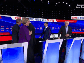 Elizabeth Warren appears to snub Bernie Sander's handshake offer after the seventh Democratic debate in De Moines.