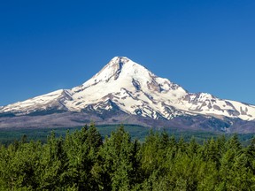 Mt. Hood above a forest in Oregon.