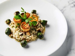 King oyster mushroom “scallops” with wild mushroom risotto and vegetables