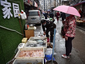 A masked vendor sells fish and turtles at a market in Wuhan, China, where the coronavirus was discovered, Jan. 24 2020.