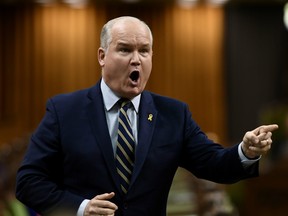 Conservative MP Erin O'Toole asks a question during Question Period in the House of Commons on Parliament Hill in Ottawa on Friday, April 5, 2019.