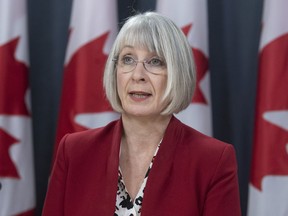 Minister of Health Patty Hajdu speak about Canada's efforts to evacuate citizens from China during a news conference in Ottawa, Thursday, February 6, 2020.