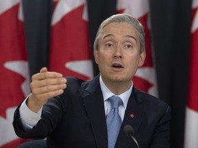 Foreign Affairs Minister Francois-Philippe Champagne responds to a question during an update on the coronavirus situation on Monday, February 3, 2020 in Ottawa.