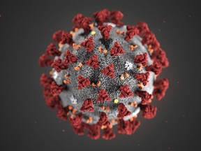 In this illustration provided by the Centers for Disease Control and Prevention (CDC) in January 2020 shows the 2019 Novel Coronavirus (2019-nCoV). THE CANADIAN PRESS/AP-CDC via AP, File