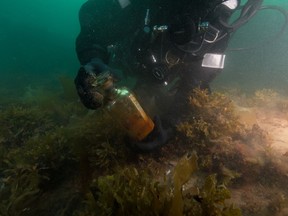 Parks Canada diver Brandy Lockhart picks up a decanter bottle recovered from the HMS Erebus during a dive in August of 2019 in this handout photo. It was as if the past literally reached out and touched him. Parks Canada archaeologist Marc-Andre Grenier spent last summer diving into the wreck of the HMS Erebus, the flagship of the Franklin expedition, which sank around 1848 in the waters of what is now Nunavut while searching for the Northwest Passage. This day, he and his colleagues swam into the pantry of Captain John Franklin himself.
