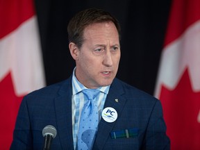 Peter MacKay addresses the crowd at a federal Conservative leadership forum during the annual general meeting of the Nova Scotia Progressive Conservative party in Halifax on Feb. 8, 2020.