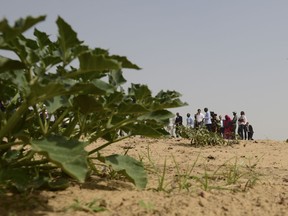 Prime Minister Justin Trudeau visits with farmers in Keri, Senegal on Thursday, Feb. 13, 2020.